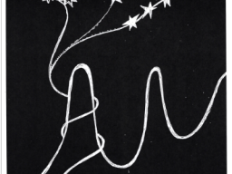 ALUNIZAJE EN BLANCO Y NEGRO